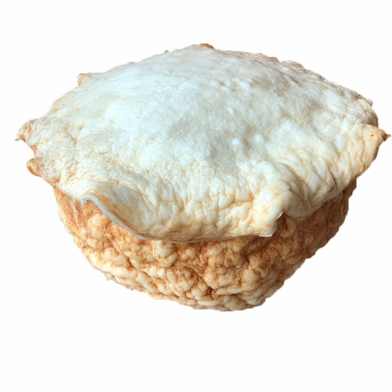 精品长白山太岁灵芝整体活体野生6斤漂亮黄皮灵芝制品