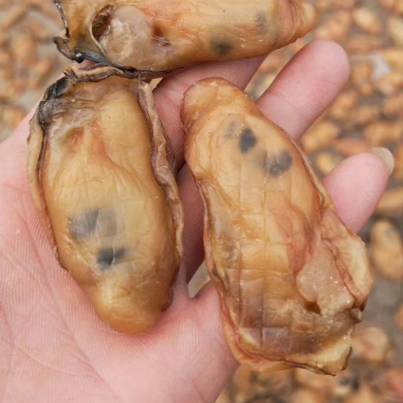 广东台山生蚝干特大牡蛎干金蚝干无抽油生晒蚝干250g