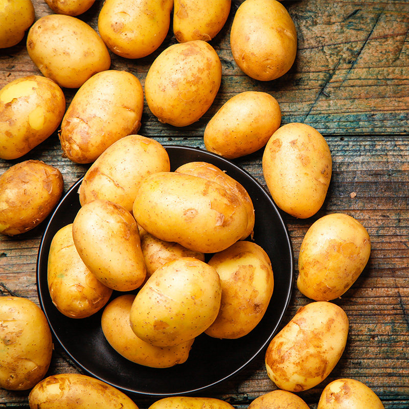 云南黄皮小土豆新鲜带箱10斤包邮黄马铃薯迷你洋芋土豆