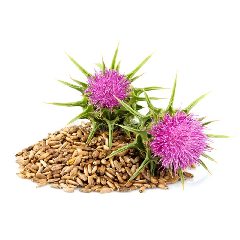 俄罗斯原装进口水飞蓟油奶蓟素冷榨油熬夜酗酒解酒保护好肝脏90粒