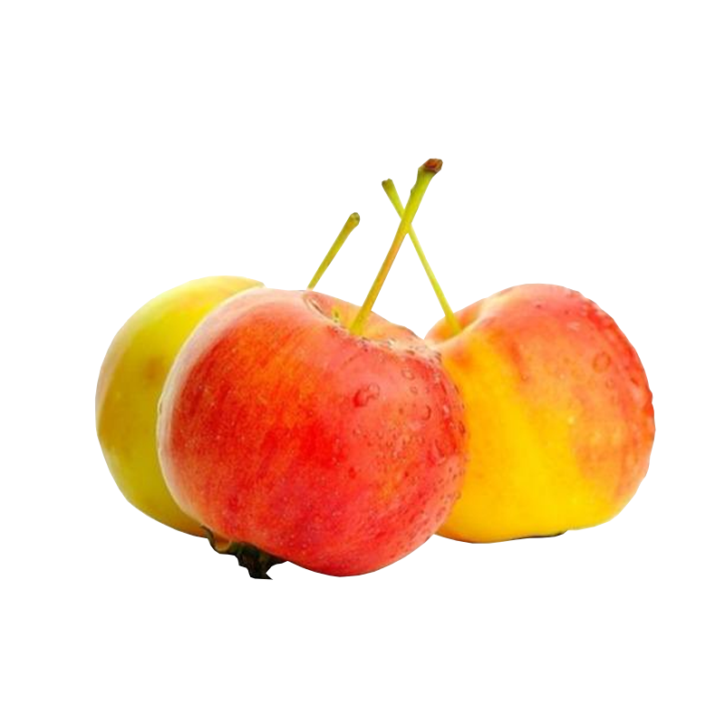 吉林海棠果现摘现发5斤_热品库_性价比 省钱购