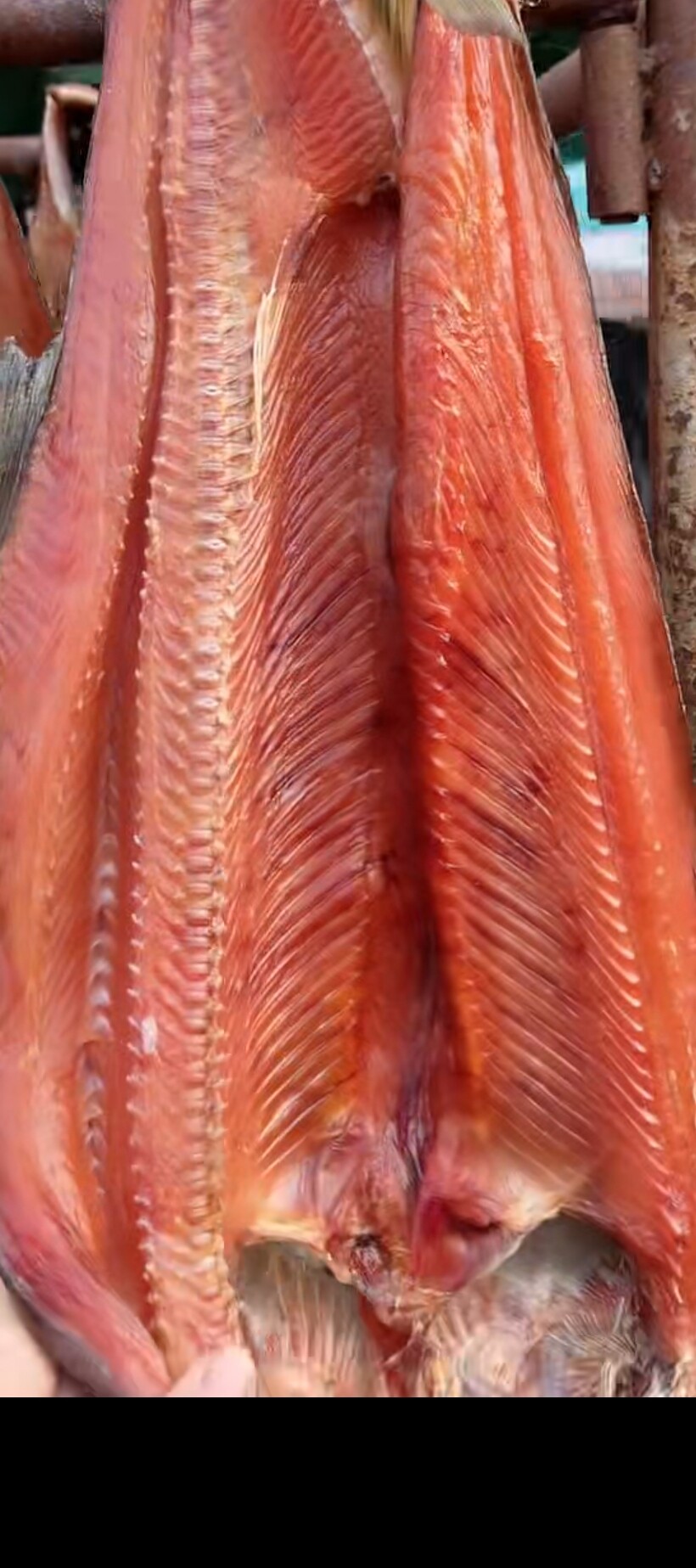 咸鱼4斤黑龙江洄游大马马哈风干新鲜腌制大马哈鱼淡水鱼类