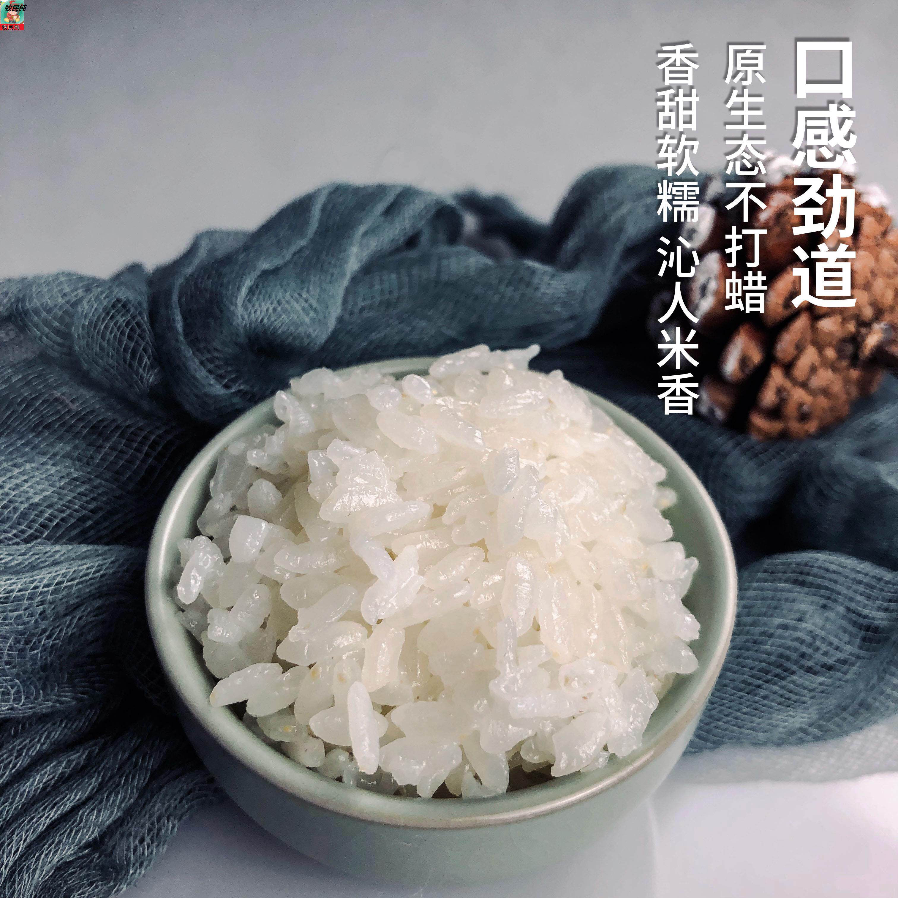 香米大米崇明现磨崇明岛新米5kg10斤新大米软糯大米