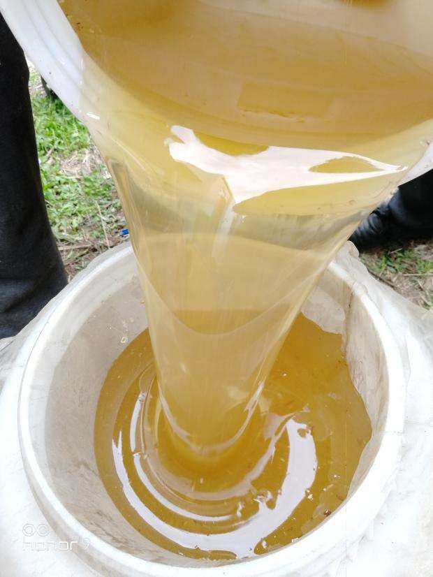 蜂蜜纯正天然农家自产油菜蜜原蜜正宗土蜂蜜无添加500g包邮孕妇