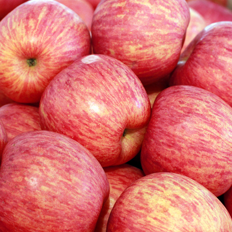 红富士苹果水果脆甜栖霞一级山东烟台新鲜当季苹果