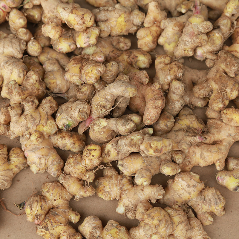 云南文山黄姜小块姜碎姜嫩姜新姜泡脚姜生姜