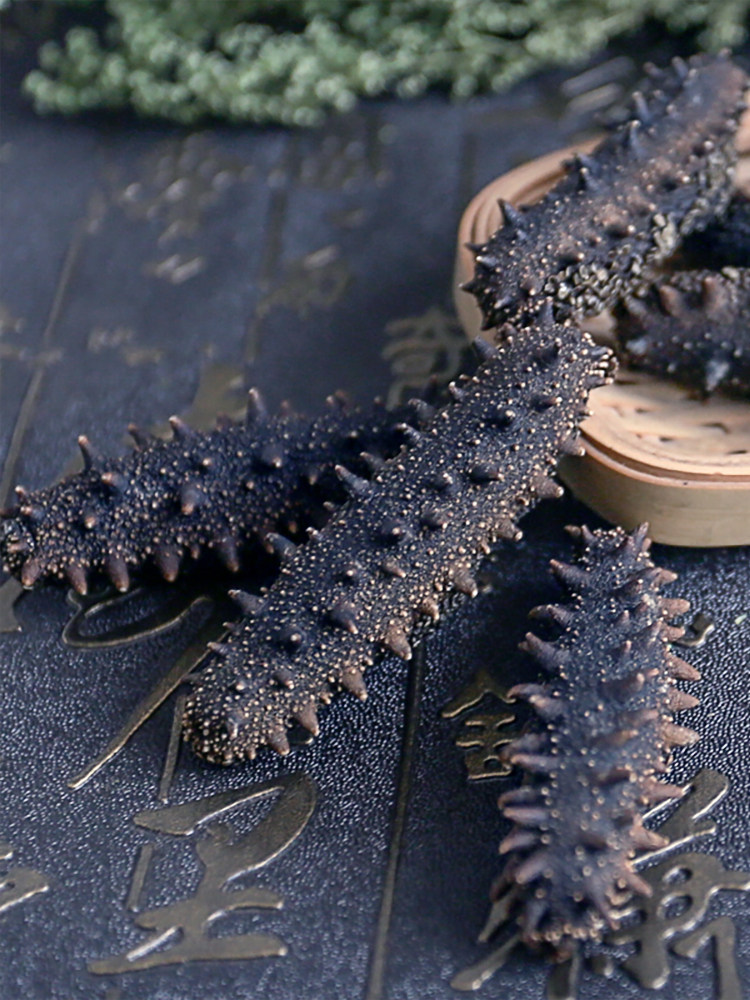 海参参爷国标蓬莱深海海底播淡干货50g刺参海参