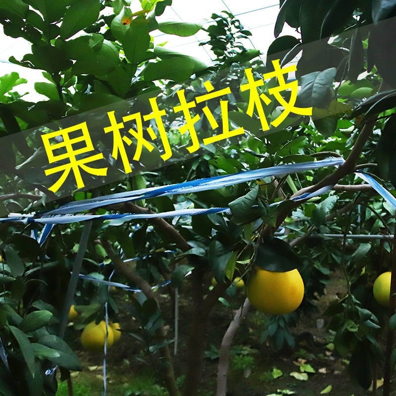 布条多功能防腐捆扎果树拉枝绳捆土球玉米秆绳打草绳等其他绳子