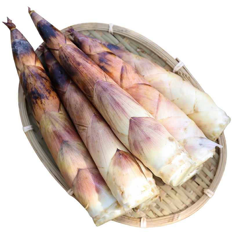 临安天目山新鲜春笋当天现挖雷笋小竹笋油焖笋农家蔬菜10斤装