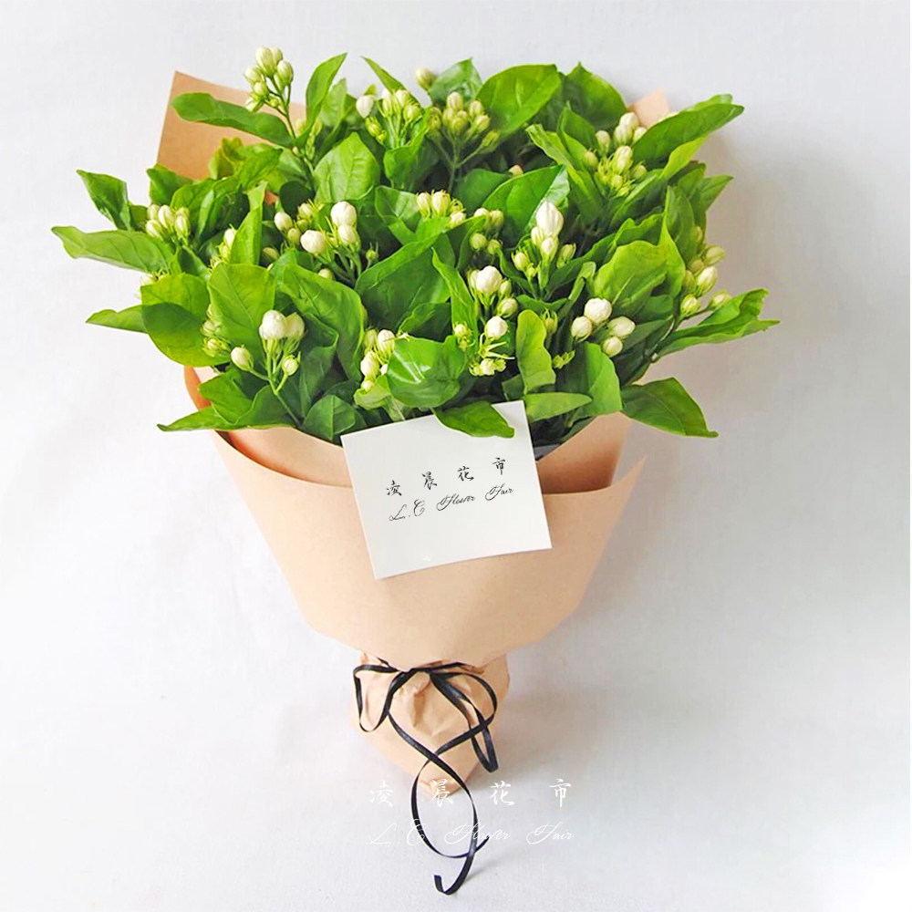 茉莉花鲜花水养家用插花办公送礼花束低价直批包鲜花速递同城