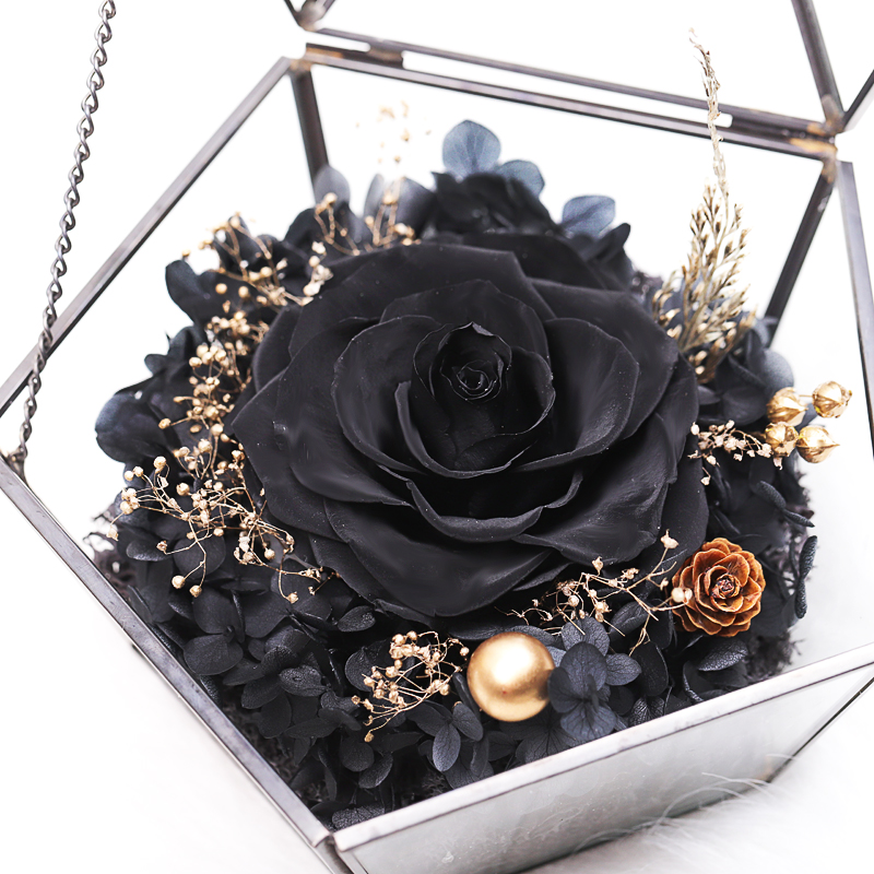 黑色永生花一朵几何玻璃房真长生黑玫瑰送女友爱永生花