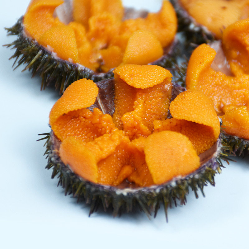 新鲜食材料海胆刺身生鲜水产活鲜500g