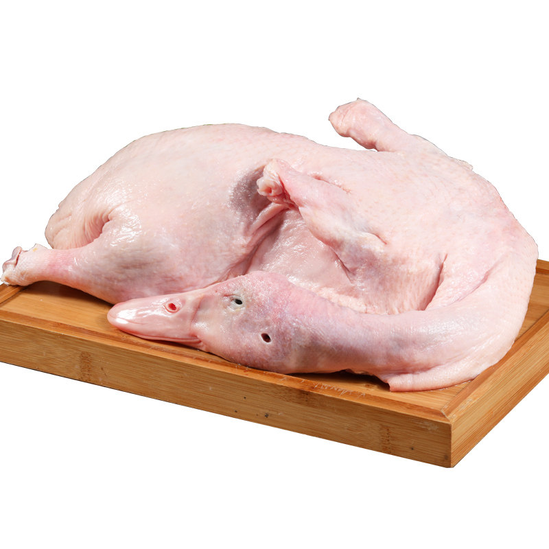 新鲜番鸭活的鲜活散养农家水鸭麻鸭老鸭土鸭鸭肉