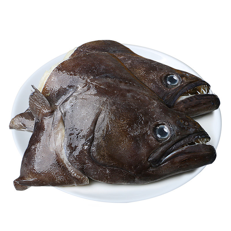 鲽鱼头新鲜冷冻深海碟鱼头大个雅片鱼鸦片鱼目鱼海鲜水产鲜活包邮