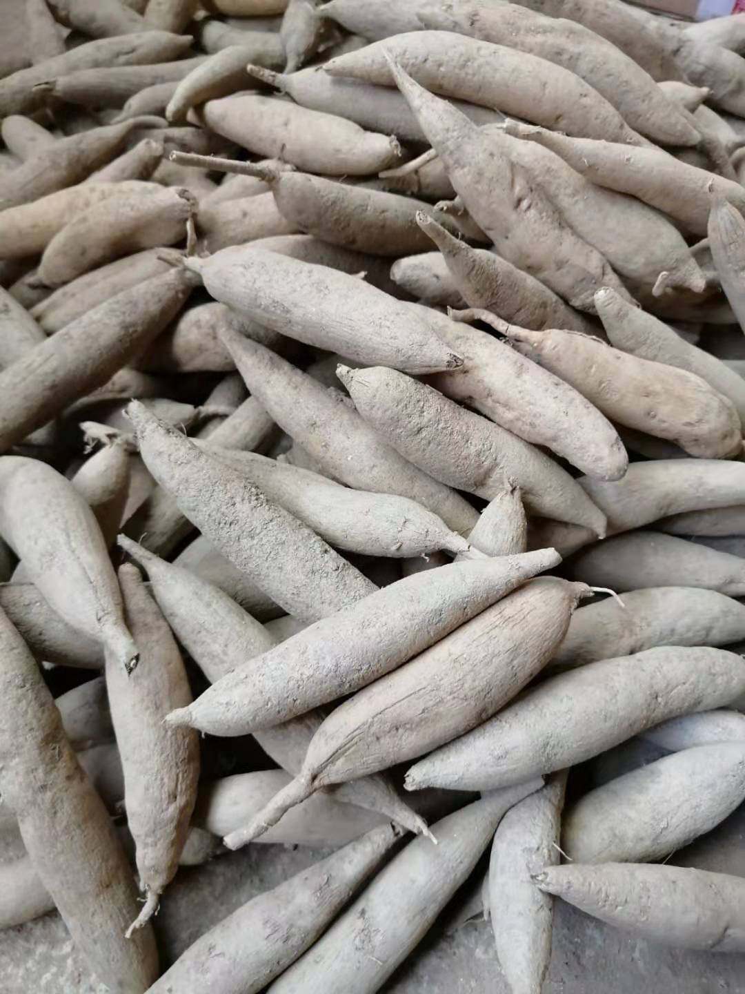 广西大天冬新鲜现挖野生鲜货优质天门冬泡酒煲汤买10斤送1斤包邮