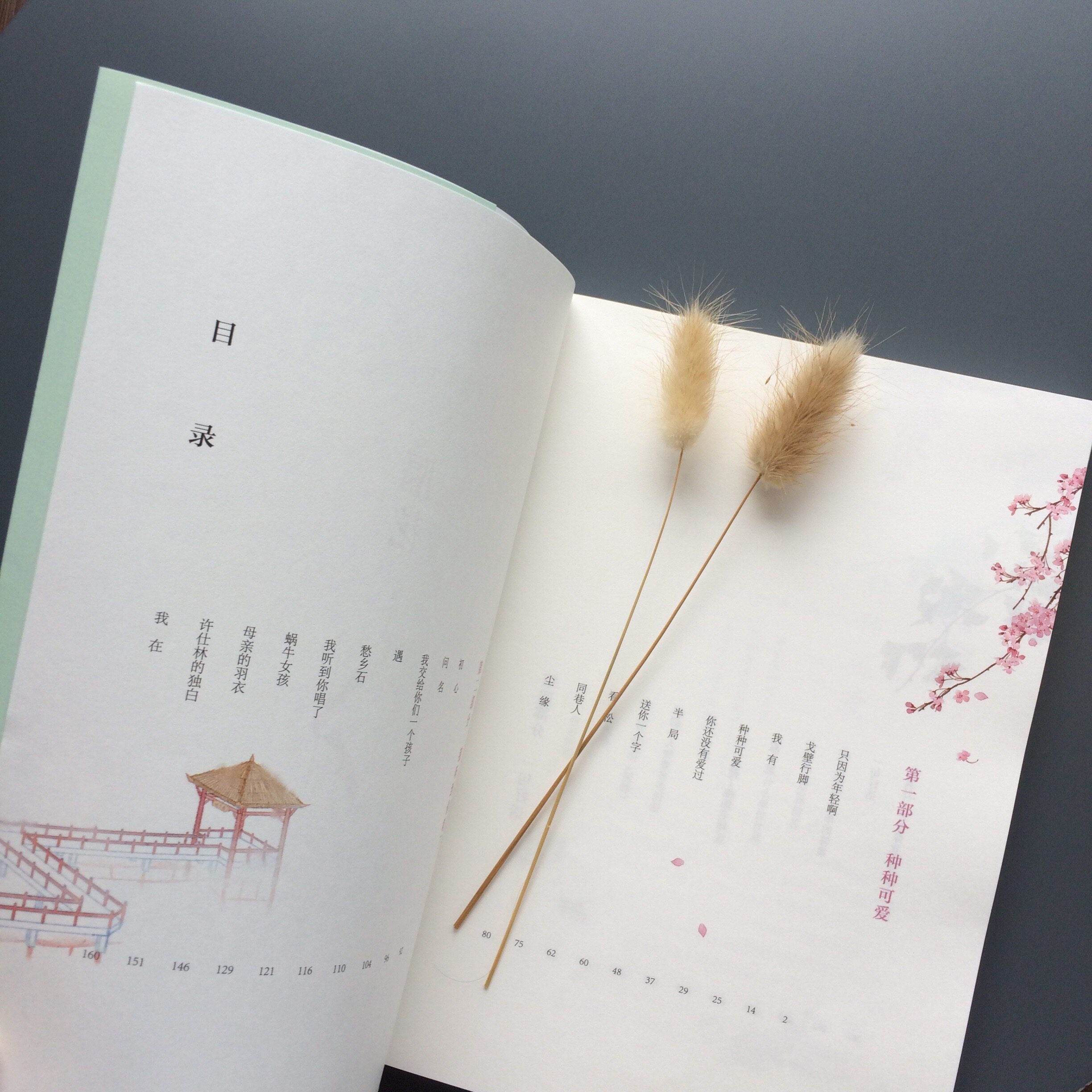 新华正版隔花张晓风当代十大散文家之一张晓风散文精选多篇文章入选