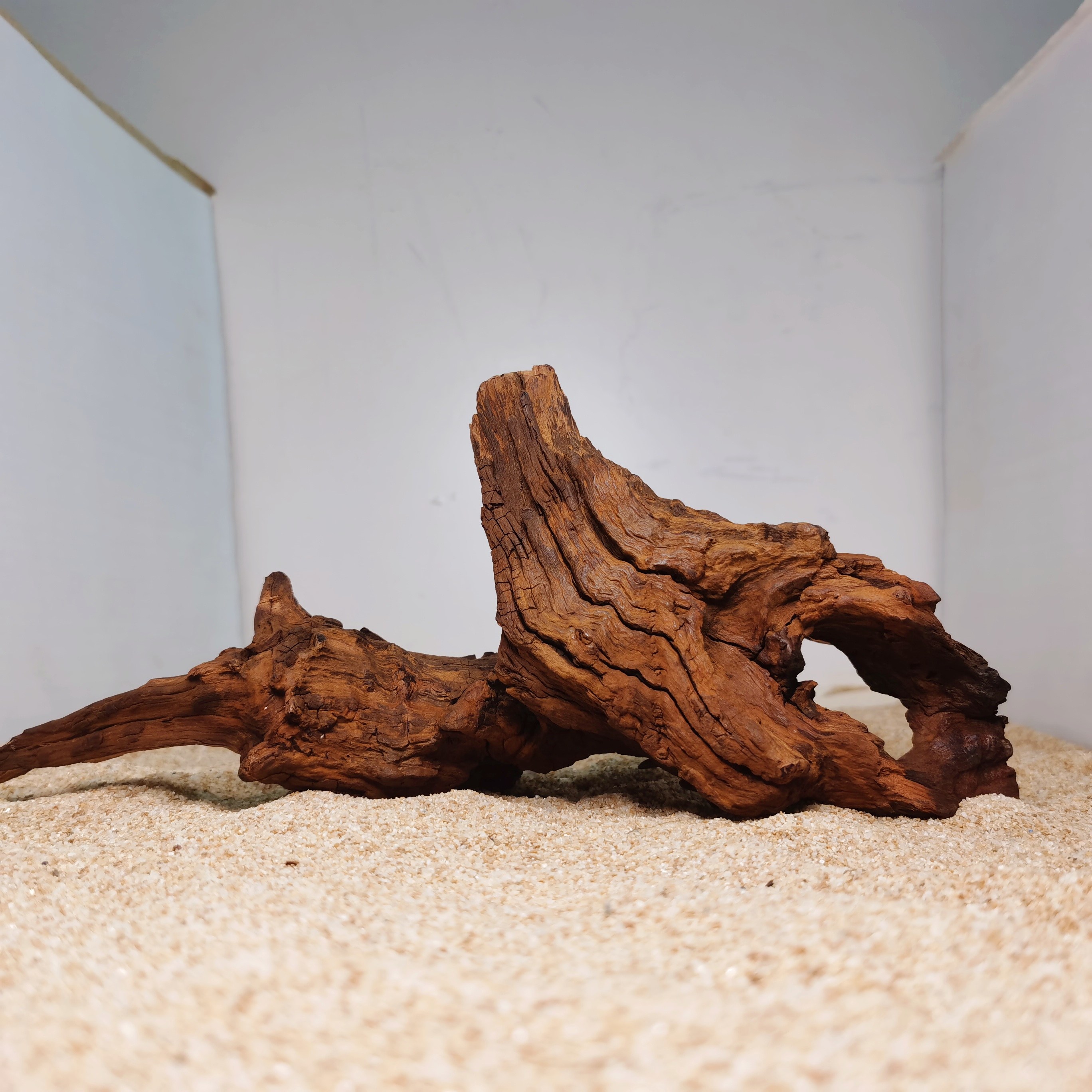 造景鱼缸沉木莫斯树紫柚木流木守宫草缸装饰造景