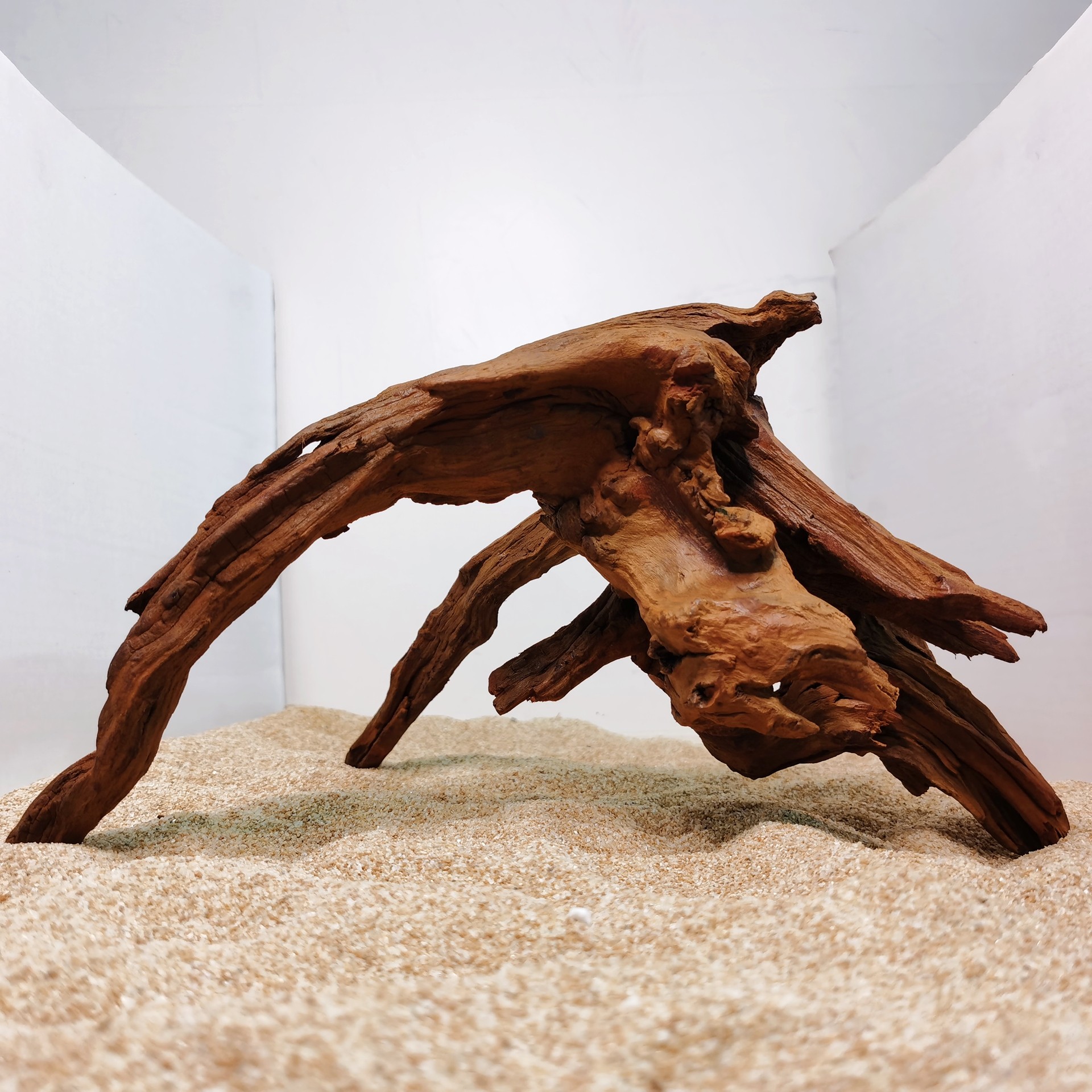 造景沉木大号柚木天然鱼缸免煮树桩晒龟台水族箱造景