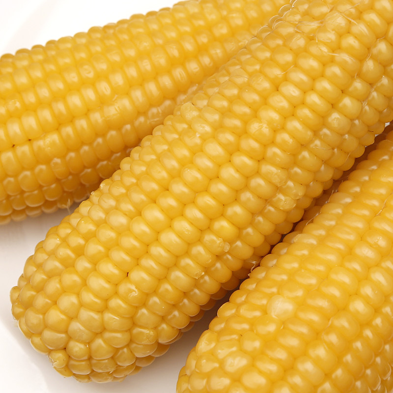 玉米东北真空10只装即食粘苞米棒新鲜食甜黏玉米