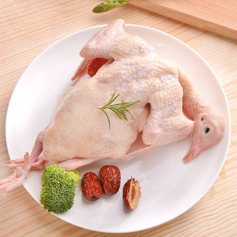 圣华鲜杀煲汤滋补鸽子以上新鲜1年散养农家其它