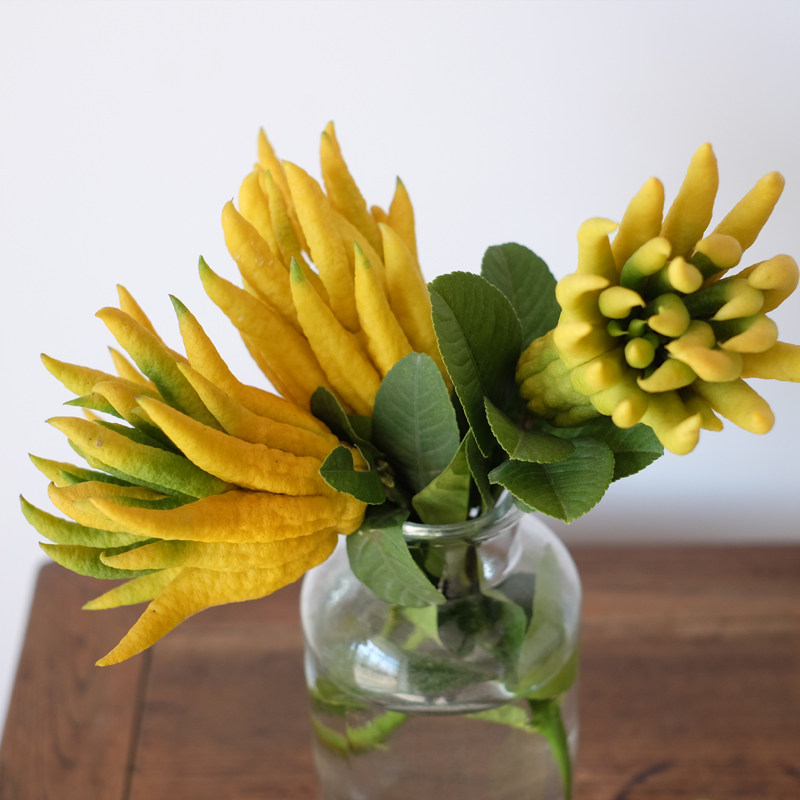 佛手水培金华特产佛手鲜果佛手柑青果香橼果观赏清供带枝水养插花