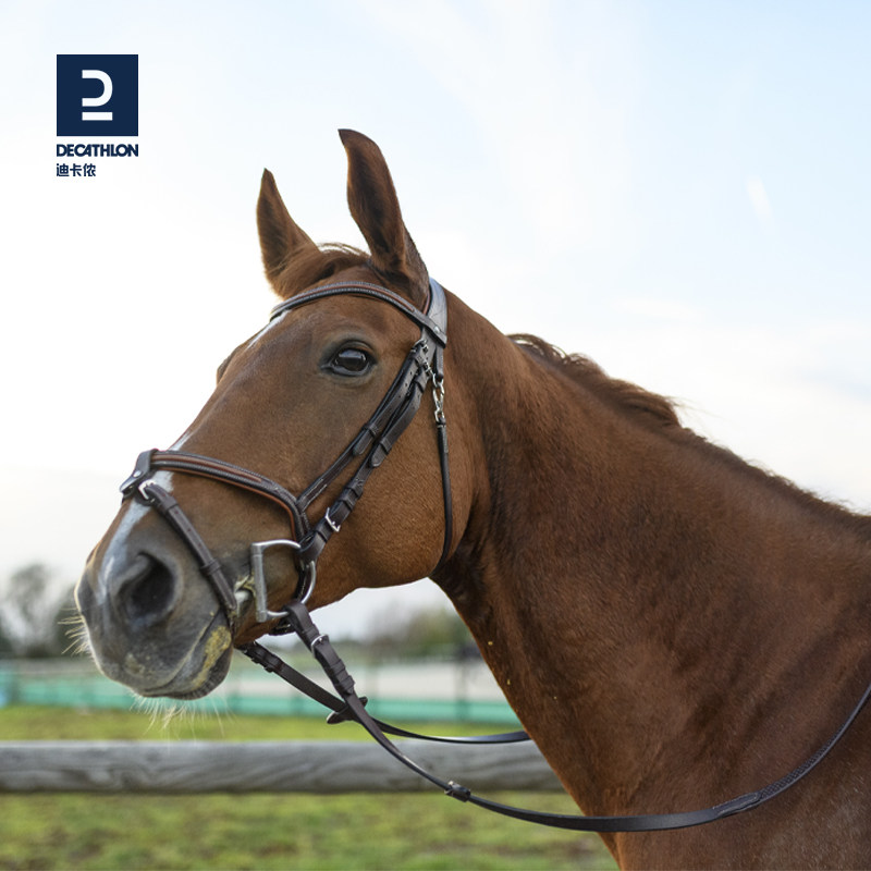 缰绳马术装备迪卡侬水勒马缰绳牛皮马匹用品马具水勒缰水勒