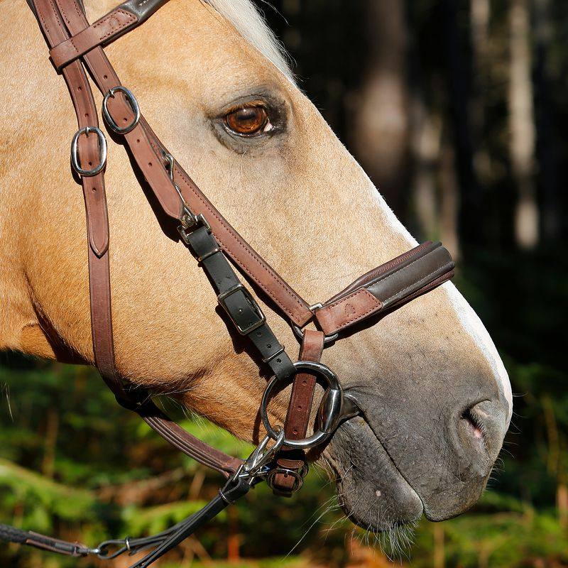 缰绳马具牵用品马术绳子马绳子迪卡侬西部马绳水勒马缰绳