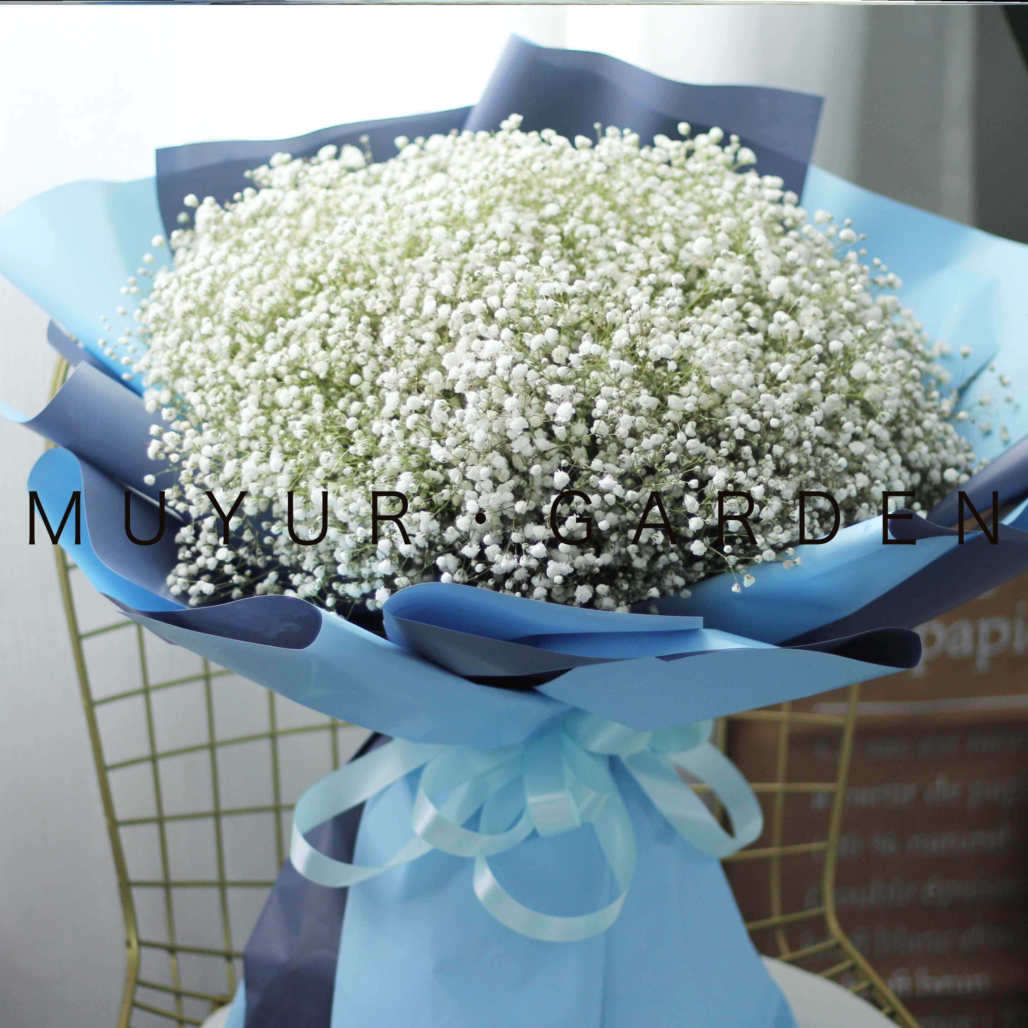 满天星花束鲜花真花生日礼物带灯巨型鲜花速递(同城)