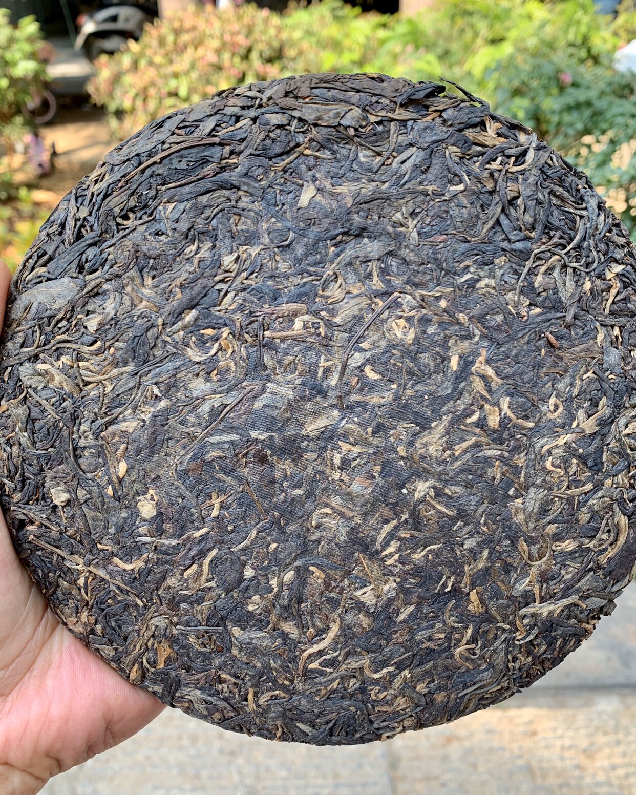 07云南勐海茶区普洱生茶南糯山多依寨400g古树茶干仓蜜糖香韵