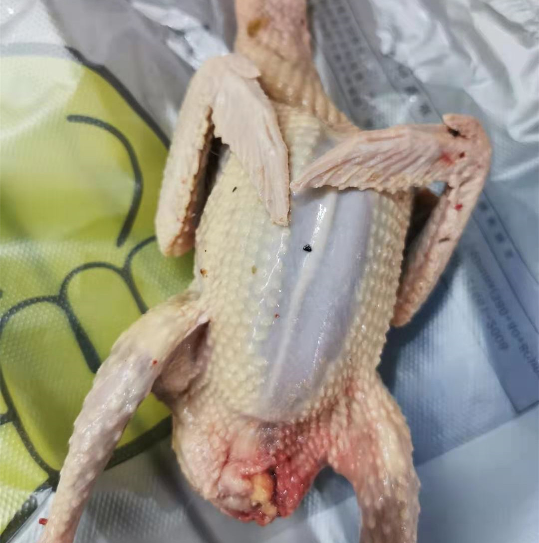 鸽子新鲜杀包汤料炖汤装送3只活体体现冷冻乳鸽