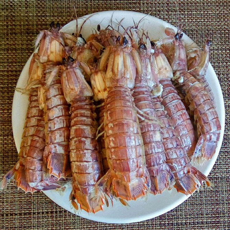 新鲜鲜活皮皮虾濑尿虾姑爬爬四川重庆主要区域活虾