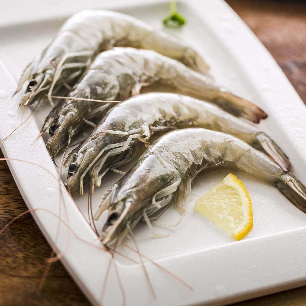 冷冻海鲜水产原装进口厄瓜多尔养殖白虾青虾海虾南美冻虾