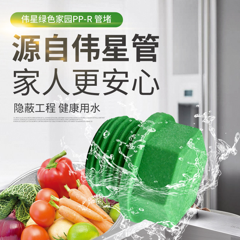 水管伟星闷头堵头丝堵配件管件管业自来水自来管堵