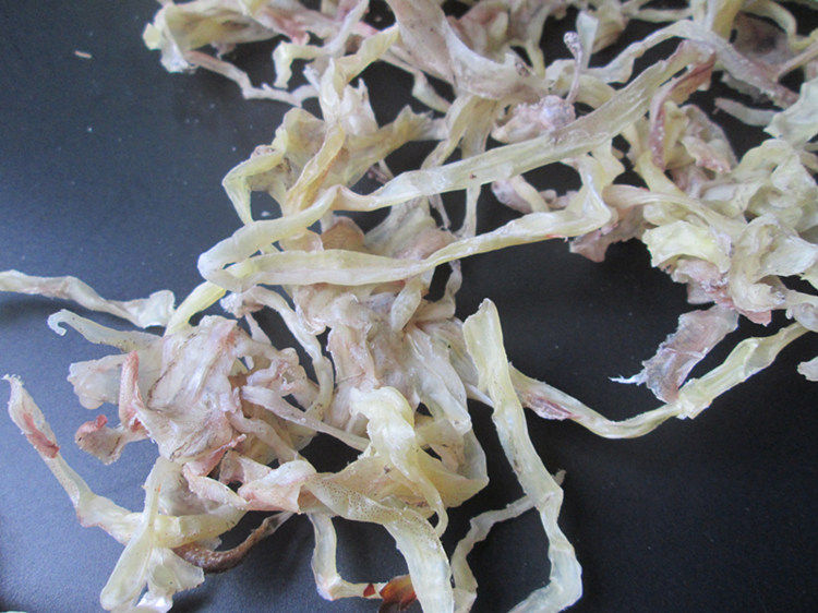 干须新货东海野生无盐淡晒墨鱼250克触角目鱼墨鱼干