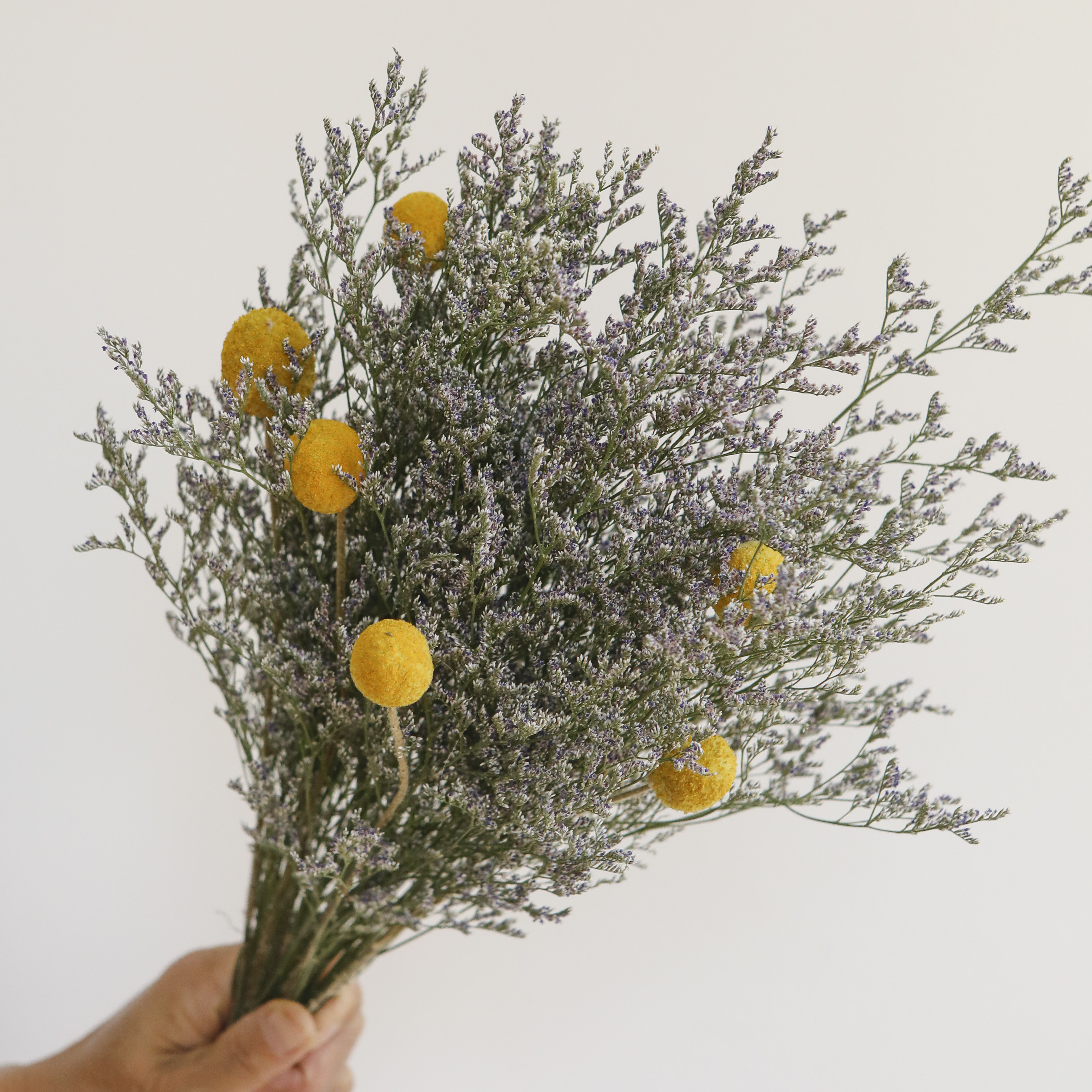 ins风干干花花束玫瑰蔷薇家居摆设搭配情人草干花