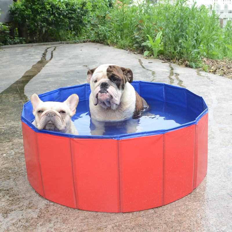 狗狗洗澡浴盆猫咪宠物浴缸法斗小型大型犬专浴池