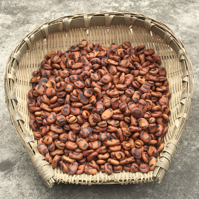 胡豆铁板豆子干炒蚕豆铁锅散装克特农家原味豆类制品