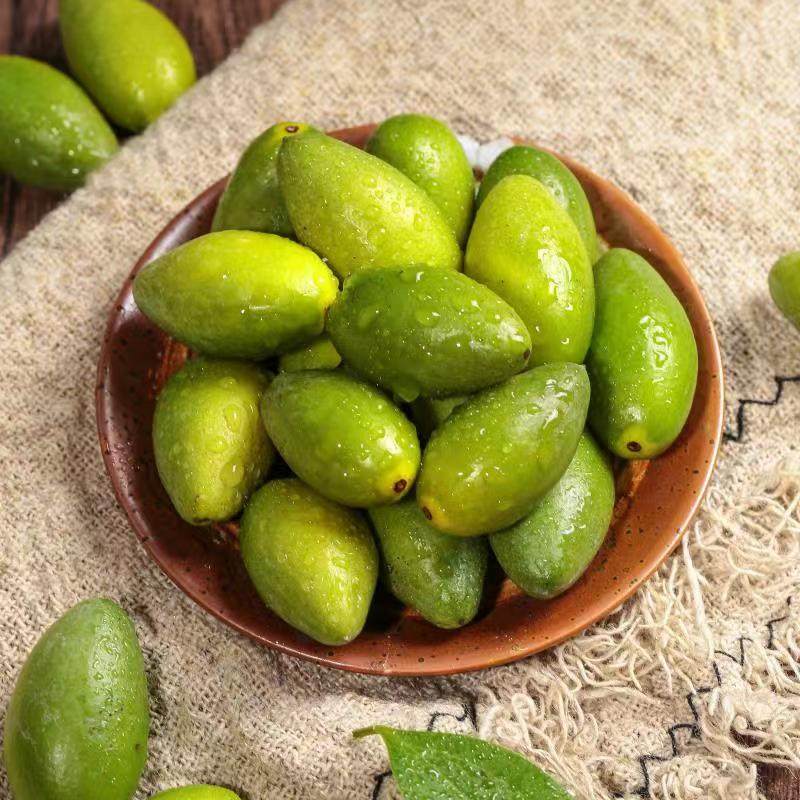 橄榄金灶特级甜种潮汕现摘冰糖果鲜生吃酥脆橄榄