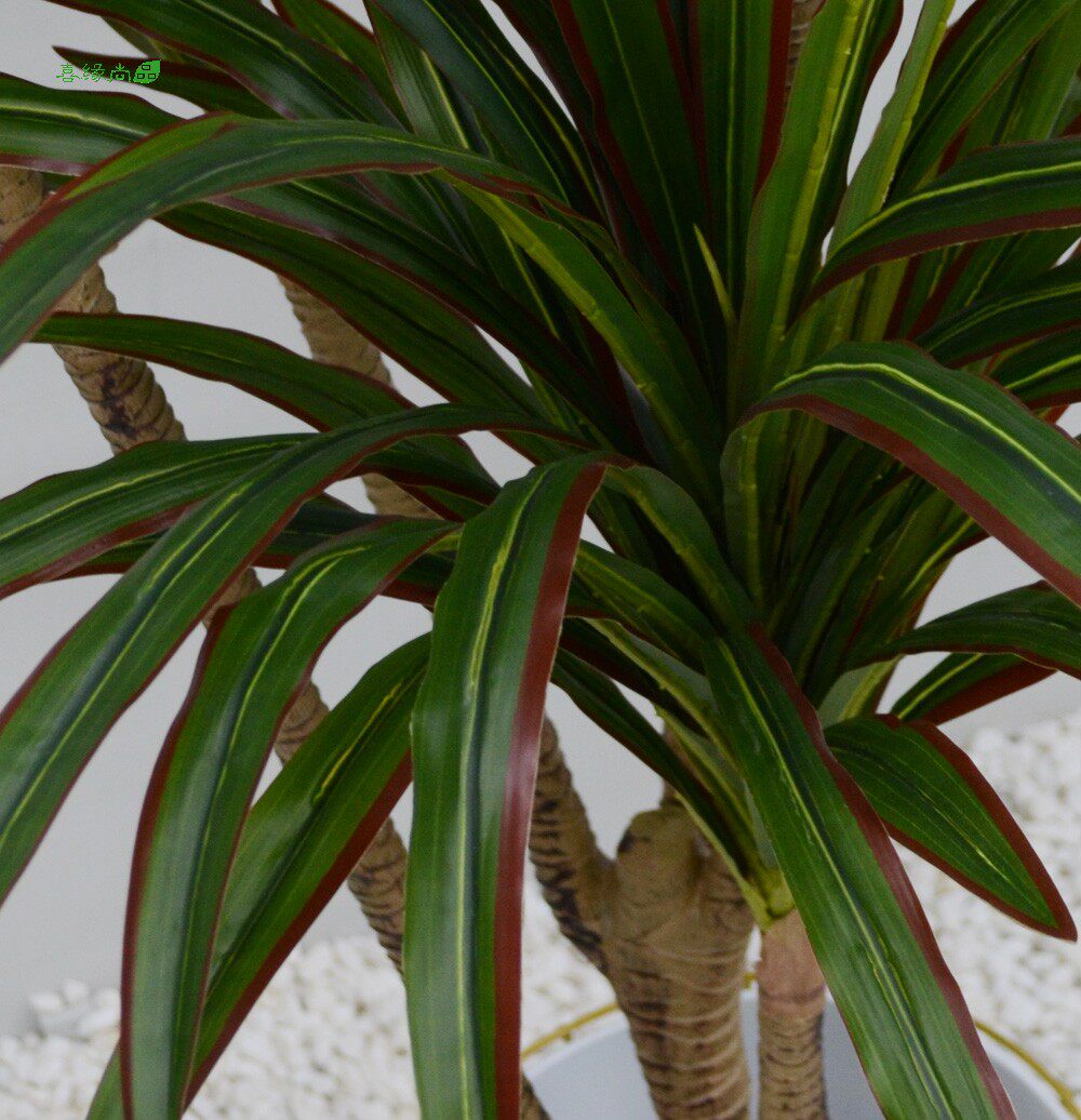 大型仿真真假龙血盆栽盆景室内客厅落地绿植仿真绿植