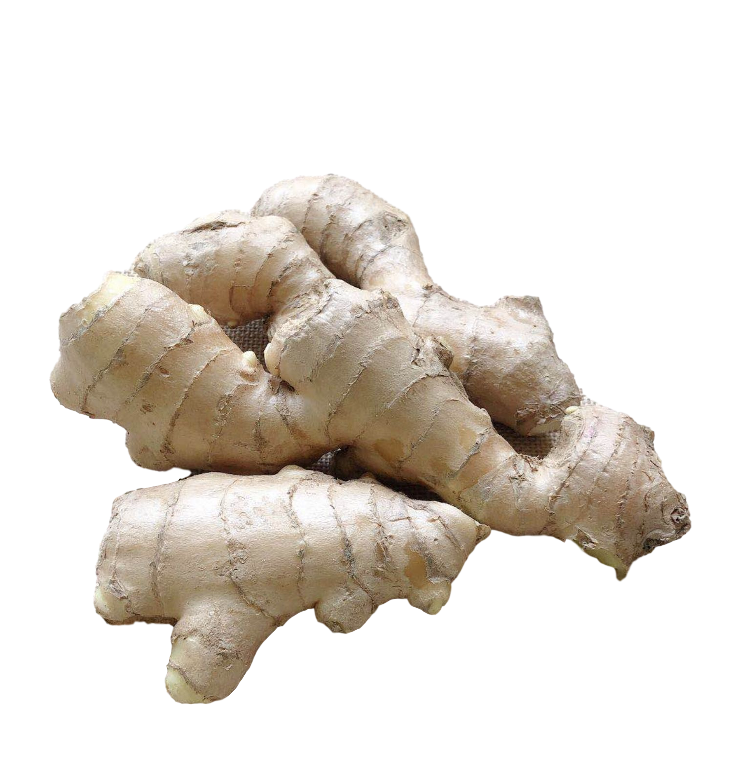 山东生姜无公害高品质出口老姜整块黄姜东大带泥生姜