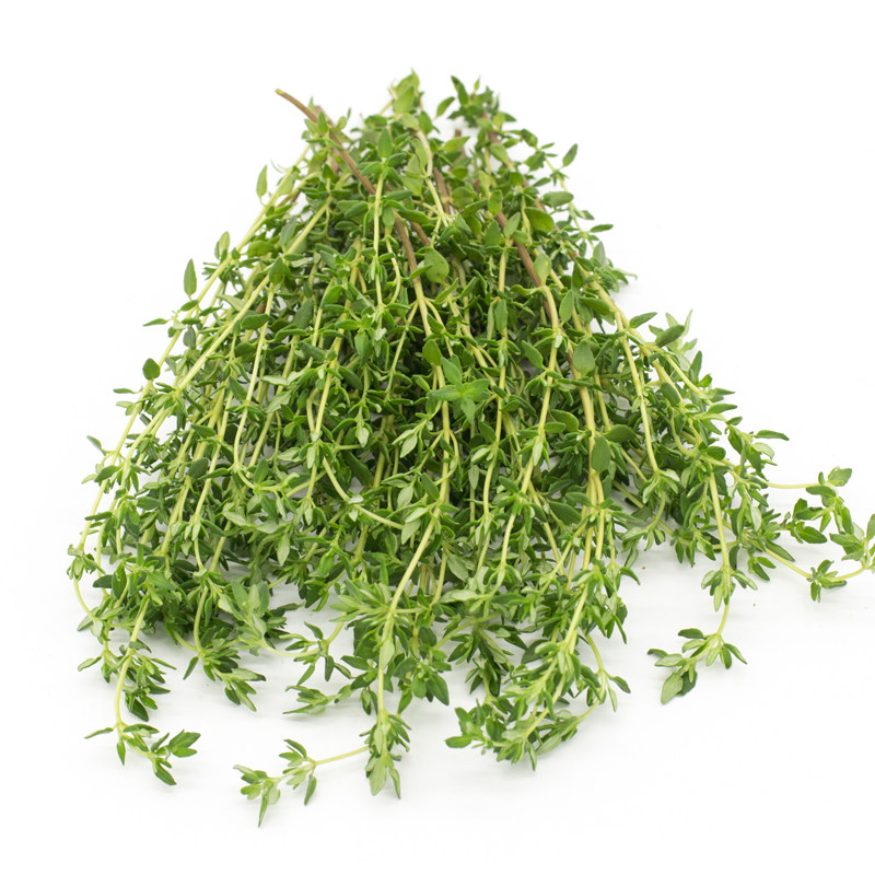 西餐调料香草新鲜百里香香料香叶麝香泰餐烧烤其它