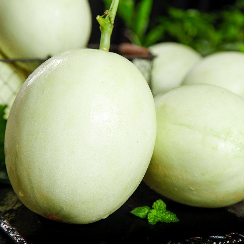 上海南汇玉菇甜瓜10斤青皮绿肉新鲜冰淇淋香瓜哈密瓜当季水果整箱