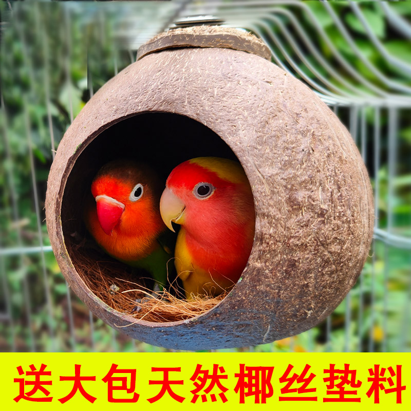 椰壳鸟窝冬季鹦鹉窝挂窝保暖椰子珍珠繁殖牡丹其他