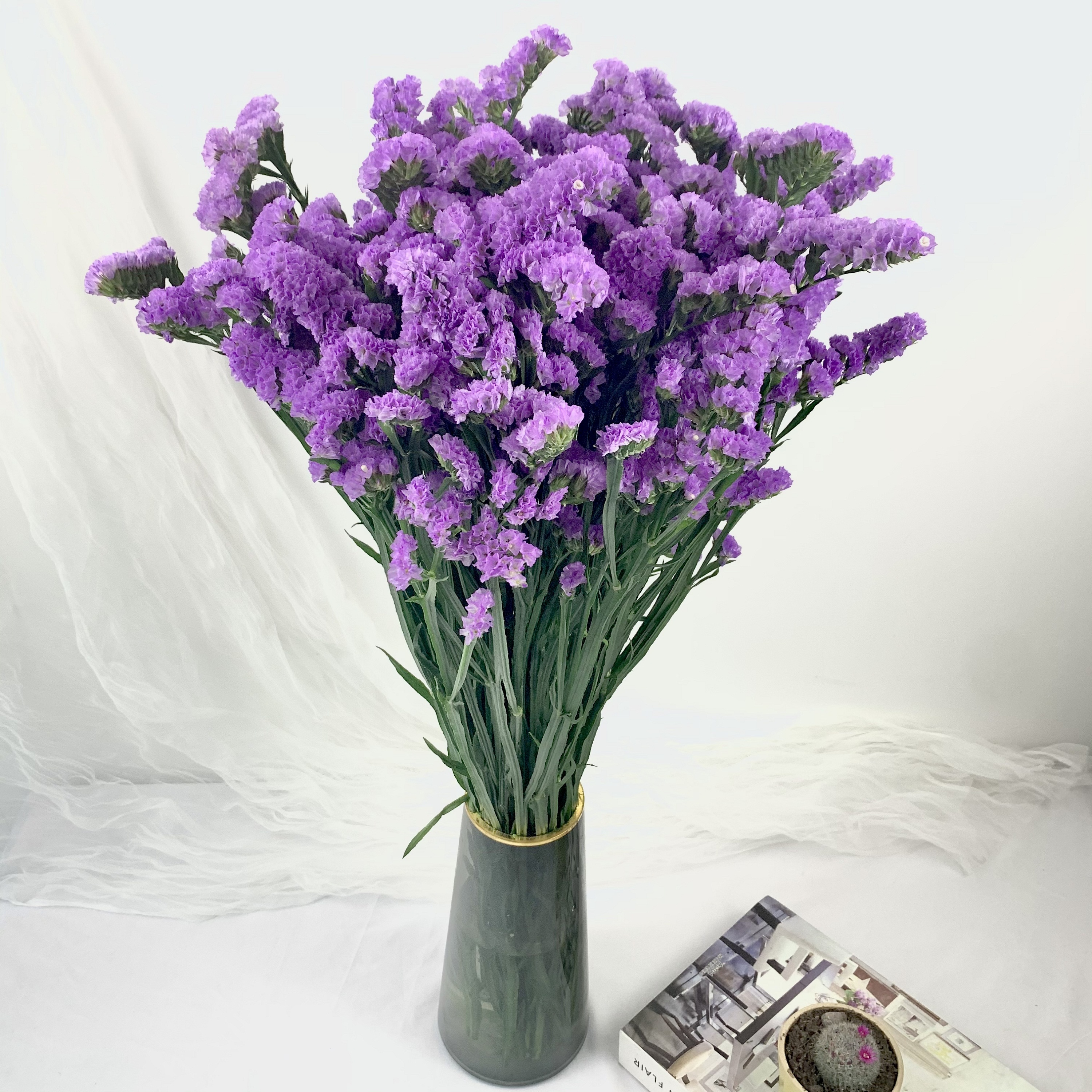 新鲜真花勿忘我云南昆明直发可做干花家用客厅干花