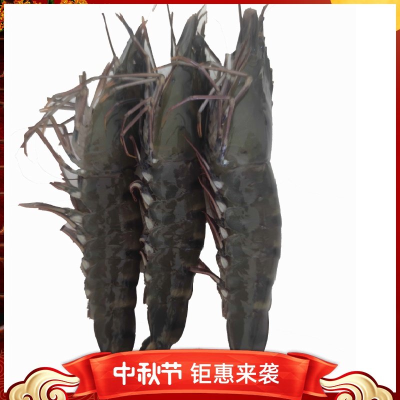 南美角虾海鲜活1斤2斤3斤顺丰包邮小时送达产地活虾