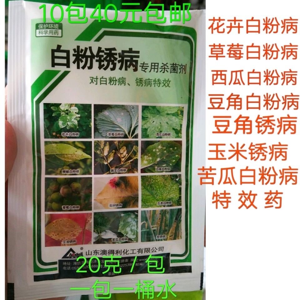 白粉锈病特效药苦瓜玉米豆角病绣专用杀菌剂10包叶面肥