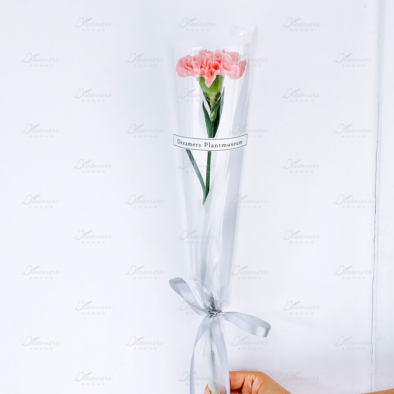 三八妇女节康乃馨鲜花小花花束单只企业定制20支散装鲜花速递同城