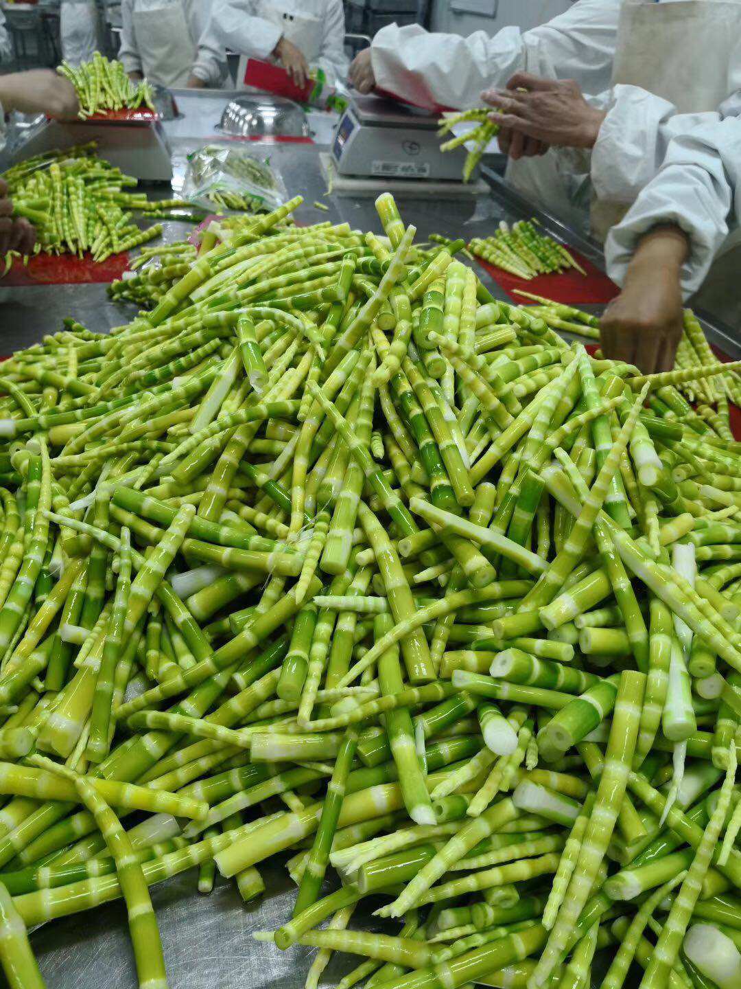 庆汇野笋新鲜竹笋罗汉清水笋鲜嫩绿笋尖脆笋包装鲜笋