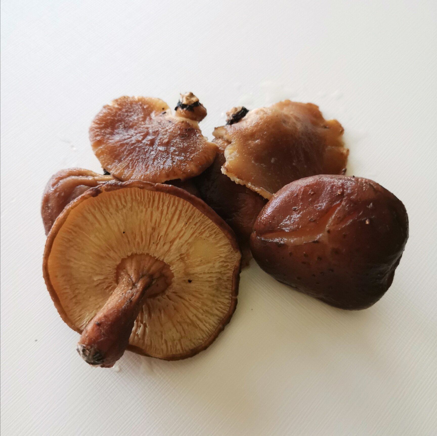 香菇野生干货250g小香冬菇薄片广西环江特产香菇类