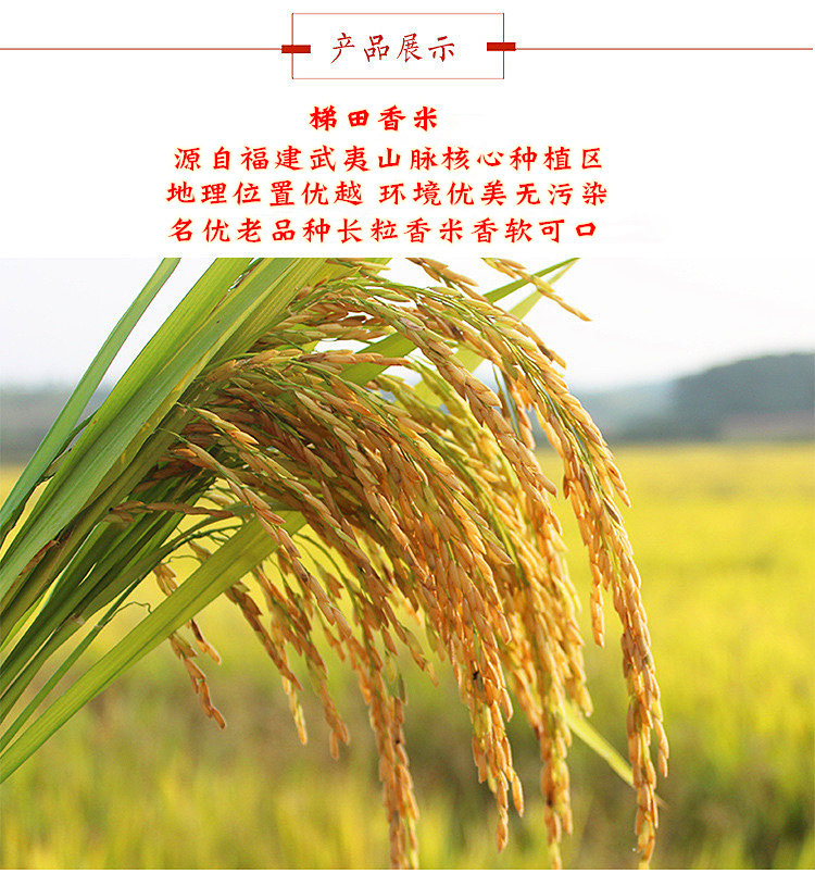 大米浦之浦城优质长粒香米县长推荐抛光无添加大米